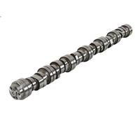 Albero a camme OE GERMANY 05 0500 DC1301 per SCANIA R I 12.742 2007-2019