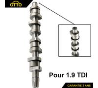 Albero A Camme Per A3 A4 A6 ALHAMBRA ALTEA IBIZA 3 LEON OCTAVIA 2 1.9 TDI