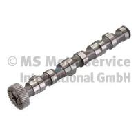 Albero a camme per cilindro 1-3 50006303 KOLBENSCHMIDT per AUDI VW SKODA