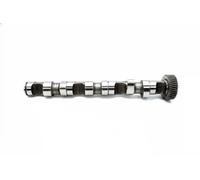 Albero a camme per cilindro 1-3 CS3594 BGA per AUDI VW SKODA