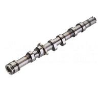 Kolbenschmidt Albero a camme 50006100 per cilindro 1-3 lato scarico per Audi A6 C6/A4 B7