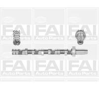 FAI AutoParts C245 Albero a camme
