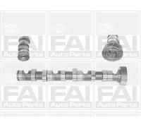 FAI AutoParts Albero a camme per VAG C247
