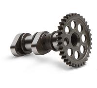 Albero A Camme Racing Hot Cams Fase 2, 3308-2IN