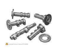 Albero a camme scarico Hot Cams Stage 1 WRF/YZF 250 2001-2013
