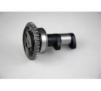 Albero a camme scarico Hot Cams Stage 2 WRF/YZF 250 2001-2013