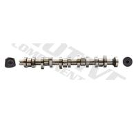 Albero a camme T067A MOTIVE per VW MULTIVAN T5 TRANSPORTER T5 Autobus TOUAREG