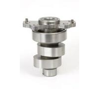 ALBERO A CAMME YAMAHA RAPTOR YFM 700 (09)