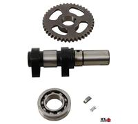 ALBERO A CAMMES DI SCARICO POLARIS PREDATOR 500 2003-2007 HOT CAMS 5046-1E