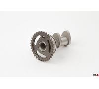 ALBERO A CAMMES SUZUKI RM-Z 250 2004-2006 HOT CAMS 2041-1IN