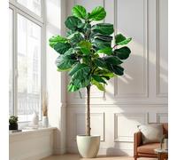 Albero artificiale a foglia di violino - 1,8 m Ficus Lyrata artificiale albero di fico artificiale in seta con piante da pavimento in vaso per la decorazione di casa soggiorno interno (senza fioriera