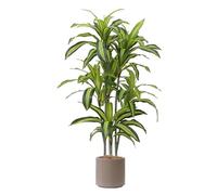 Albero Artificiale Del Sangue Di Drago, Pianta Alta E Simulata, Resistente Ai Raggi UV, Pianta Tropicale Realistica Da Terra In Vaso, Adatta For Casa, Soggiorno(Style E)