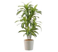 Albero Artificiale Del Sangue Di Drago, Pianta Alta E Simulata, Resistente Ai Raggi UV, Pianta Tropicale Realistica Da Terra In Vaso, Adatta For Casa, Soggiorno(Style C)