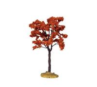 ALBERO AUTUNNALE MEDIO - YELLOWWOOD TREE, MEDIUM