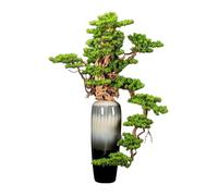 Albero Bonsai Artificiale Grande Albero Bonsai Artificiale for Interni Simulazione Verde Pino di Benvenuto Bonsai Albero Soggiorno Decorazione for Ufficio Albero Finto con Vaso in Ceramica(L)