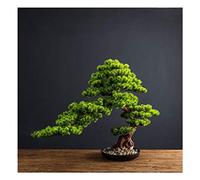Albero bonsai artificiale Simulazione di piante verdi Grande bonsai Pino di benvenuto Pianta finta Giardino interno Home Office Decorazione desktop Simulazione Ornamenti per alberi Albero bonsai