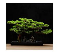 Albero Bonsai Simulazione del legno dell'albero bonsai artificiale Grande pino di benvenuto Piante montagna finte Ornamenti Zen for l'arredamento interni Home Office Arredamento per la casa(Grande)