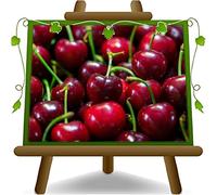 Albero da Frutto Ciliegio Giorgia, Pianta in Vaso da 20 cm, Altezza 150-170 cm, Età 1 Anno, Radice Nuda