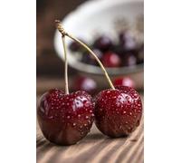 Albero da Frutto Ciliegio New Star, Pianta in Vaso da 20 cm, Altezza 150-170 cm, Età 1 Anni, Radice Nuda