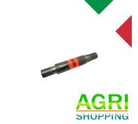 Albero Del Pignone Per Fresa HOWARD Rotavator HE