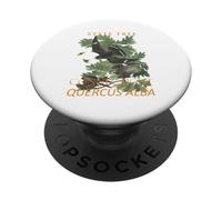 Albero del Territorio del Connecticut The Charter Oak PopSockets PopGrip Adesivo