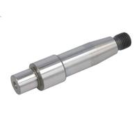 Albero della pompa di iniezione BOSCH F.00R.0P1.110