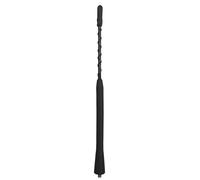 Albero dell'antenna dell'automobile, antenna stereo AM AM amplificata amplificat