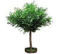 Albero di ciliegio in fiore simulato, grande pianta adatta for decorazioni for finestre di hotel, centri commerciali, matrimoni(6M)