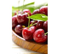 Albero di Ciliegio pianta di ciliegia varietà Visciola in vaso Età 2 anni pianta di ciliegio vera venduta da eGarden.store