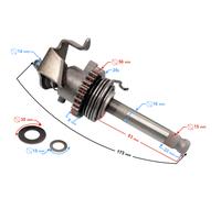 Albero di comando a pedale per moto Cafe Racer