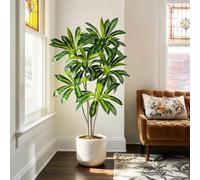 Albero di dracaena artificiale, 1,5 m, con fioriera bianca, per interni