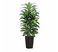 Albero di dracaena artificiale, 1,5 m, piante finte da interno con vaso | Albero di dracaena finto con foglie e ciottoli realistici, pianta finta yucca da pavimento per casa, ufficio, soggiorno