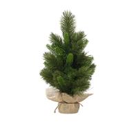 Kaemingk Albero di Natale Edmonton Verde H 60 cm
