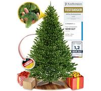 Albero di Natale artificiale [100% stampato a iniezione] - Nordman realistico con cima robusta | christmas tree di prima qualità con supporto in legno certificato FSC (210 cm, Senza illuminazione)