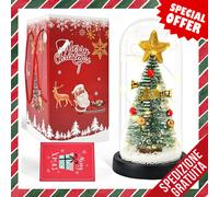 Albero di Natale Cupo di Vetro Mini Albero di Natale Artificiale Decorazione Ide