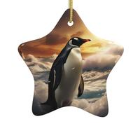Albero di Natale in ceramica appeso ciondolo stella YYHWHJDE Penguin mare Stampe accuratamente forati corda di metallo