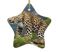 Albero di Natale in ceramica appeso stella ornamento WHJHBD Mountain Leopard stampe facile da appendere per feste di vacanza 7,9 x 7,9 cm