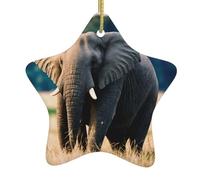 Albero di Natale in ceramica appeso stella ornamento WHJSHOP elefante nel prato modello per da Home Decor display commerciali