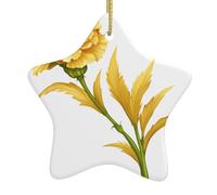 Albero di Natale in ceramica appeso stella ornamento WHJSHOP Golden Garofano stampe possono aggiungere un tocco romantico a festival o feste