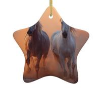 Albero di Natale in ceramica appeso stella ornamento WHJSHOP Il cavallo al galoppo nel deserto stampe può aggiungere un tocco romantico a festival o feste