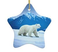 Albero di Natale in ceramica da appendere a forma di stella, decorazione HJFCZH Snowy Mountain Polar Bear stampato facile da appendere su alberi, porte e finestre