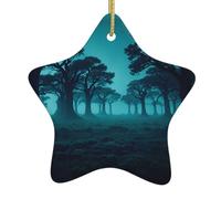Albero di Natale in ceramica da appendere a forma di stella, decorazione YYHHAOFA misterioso boschi immagine facile da appendere su alberi, porte e finestre