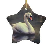 Albero di Natale in ceramica da appendere a forma di stella, decorazioni per le festività WHJDPP Happy Little cigno immagine piccola e squisita