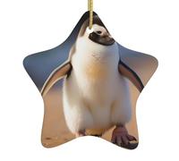 Albero di Natale in ceramica da appendere a forma di stella ornamento WHJSHOP Little Penguin Learning to Walk stampe può aggiungere un tocco romantico a festival o feste