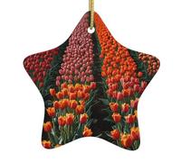 Albero di Natale in ceramica Hanging Star Ornament WHJSHOP Fields of Tulipani Modello per da Home Decor Display commerciali