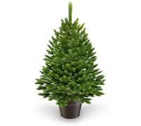 Albero di Natale piccolo (Senza illuminazione, 40 cm)