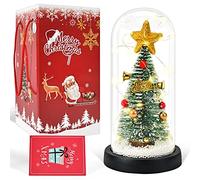Albero di Natale sotto vetro, mini albero di Natale artificiale sotto una cupola di vetro, albero di Natale da tavolo con luce, decorazione natalizia creativa con neve, piccolo, per bambini e amici