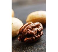 Albero di Noce pianta di noce Età 2 anni già innestato pianta da frutto di noci in vaso pianta vera di noci venduta da eGarden.store (Pecan)