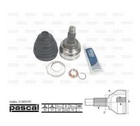 Albero di trasmissione PASCAL G1B001PC