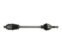 Albero di trasmissione PASCAL G2R103PC